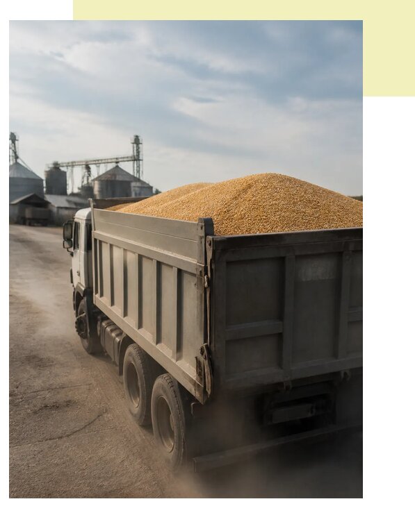 Перевозка сельхозпродукции навалом в Сатку по цене от 3103 р. | Агросервис-Стк